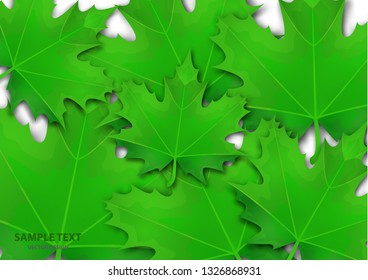Abstract background from a variety of bright maple leaves on a white background. Stylish modern design for flyers, posters, flyers, banners. Vector illustration