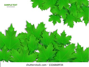 Abstract background from a variety of bright maple leaves on a white background. Stylish modern design for flyers, posters, flyers, banners. Vector illustration