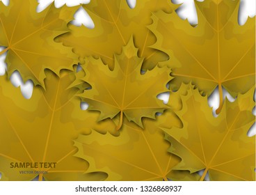 Abstract background from a variety of bright maple leaves on a white background. Stylish modern design for flyers, posters, flyers, banners. Vector illustration