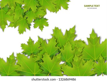 Abstract background from a variety of bright maple leaves on a white background. Stylish modern design for flyers, posters, flyers, banners. Vector illustration