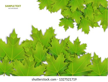 Abstract background from a variety of bright maple leaves on a white background. Stylish modern design for flyers, posters, flyers, banners. Vector illustration