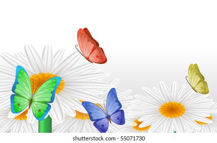 Abstract background. Vector butterflies on camomiles