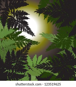 abstract background vector drawing (fern)