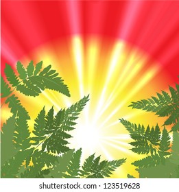 abstract background vector drawing (fern)