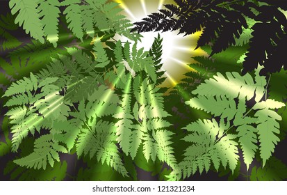 abstract background vector illustration (plant fern)