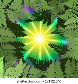 abstract background vector illustration (plant fern)
