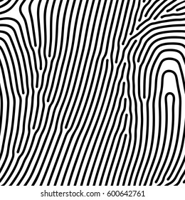 Abstract Background Of Vector Organic Irregular Lines Print Pattern. Black And White Chaotic Design