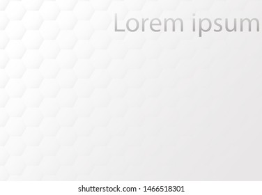 abstract background vector, white hexagon background concept, light and shadow.