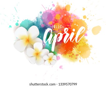 Abstract background with watercolor colorful splashes and frangipani (plumeria) flowers. Hello April handwritten modern calligraphy lettering. Spring concept background.