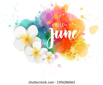 Abstract background with watercolor colorful splashes and frangipani (plumeria) flowers. Hello June handwritten modern calligraphy lettering. Summer concept background.