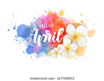 Abstract background with watercolor colorful splashes and frangipani (plumeria) flowers. Hello April handwritten modern calligraphy lettering. Spring concept background.