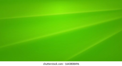 Abstract background with wavy surface in green colors