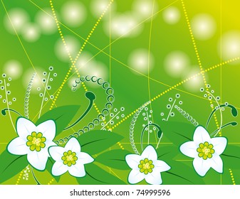 Abstract background with white flowers. Vector illustration