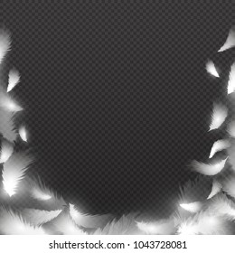 Abstract background with white fluffy feathers. Vector feather frame. Illustration of feather bird, fluffy and quill, plumage border