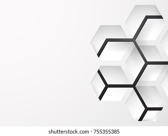 Abstract background white , gray with hexagon shape , Modern Style Vector illustration.
