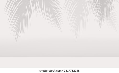 Abstract background white and gray leaf shadow background, podium vector illustration