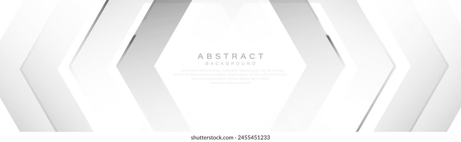 Fondo Abstractas con líneas geométricas hexagonales en blanco y gris. Moderno patrón limpio de moda mínimo Horizontal. Ilustración vectorial