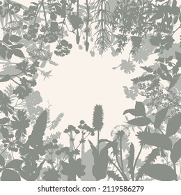 Abstract background with wild herbs and flowers.