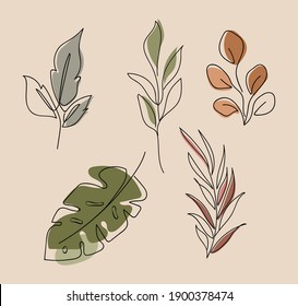
Abstract backgrounds with minimal shapes and botanical line art elements