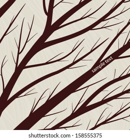 abstract backgrounds with natural elements. 