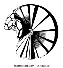 Abstract bacterium vector - isolated transparent object on white background