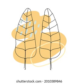 Abstract Banana Palm vector botanical illustration. Boho foliage with abstract shape. Tropic palm leaves clipart.