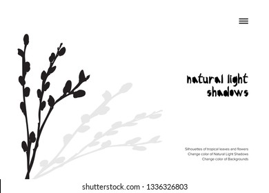 Abstract banner with black pussy willow leaves shadow isolated on white background. Vintage style Presentation template Vector Illustration for web advertising design, corporate branding, invitation