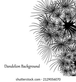 Abstract banner with flowers dandelions. Macro drawing on white background. Poster, ad template with place for text.  Advertising, social media posts. Floral spring theme. Black contour image. Vector