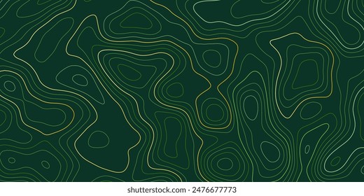 Abstract banner with a topography map design