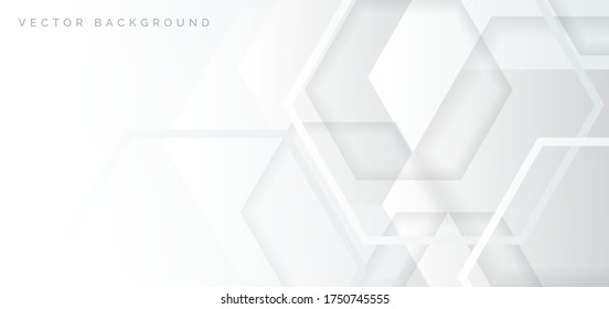 Abstract banner web white and gray geometric hexagon overlapping  technology corporate concept background with space for your text. Vector illustration