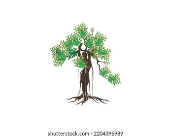 Resumen del logo del árbol banyan. Ilustración del vector de árbol único con forma de mujer.  