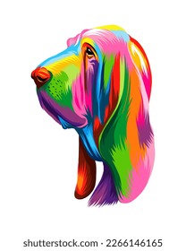 Abstract Basset Hound head portrait, Bloodhound head portrait from multicolored paints. Colored drawing. Puppy muzzle portrait, dog muzzle. Vector illustration of paints