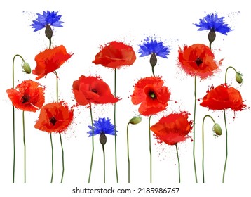 Abstract beautiful background with red poppies and blue cornflowers. Vector.