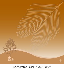 abstract beautiful brown coconut leaf