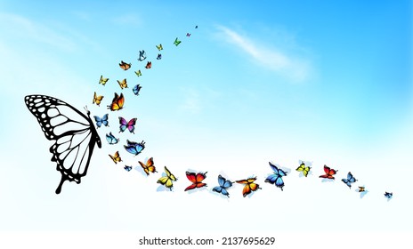 Abstract beautiful nature background with Colorful Butterflies and Blue Sky with White Cloud. Vector.