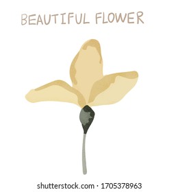 Abstract beautiful vector flower, rose flower