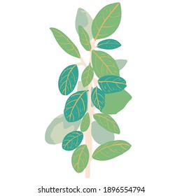 Resumen hermosa ilustración de hoja vectorial