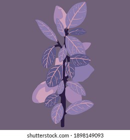 Abstract beautiful vector leaf illustration