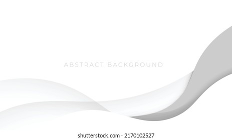 Abstract beautiful white gray background, smooth and soft curve. Vector illustration
