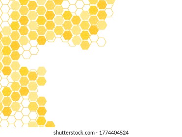 Abstract beehive with hexagon grid cells on white background vector.