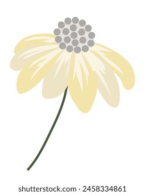 Abstract beige daisy in flat design. Echinacea blossom head on twig. Vector illustration isolated.