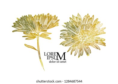 Abstract beige flower. Vector