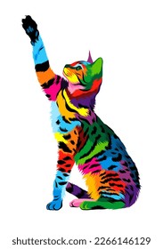 Abstract bengal cat from multicolored paints. Colored drawing. Vector illustration of paints