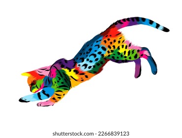 Abstract bengal cat playing from multicolored paints. Colored drawing. Vector illustration of paints