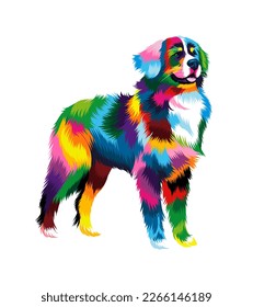 Abstract Bernese Mountain Dog from multicolored paints. Colored drawing. Vector illustration of paints