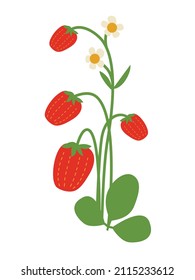 Abstract berries vector illustration. Summer strawberry