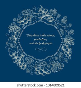 Abstract berry blue sketch poster with text in elegant frame and grapes bunches in vintage style vector illustration
