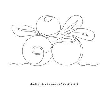 cranberry abstrato, desenho de arte de linha única contínua esboço, logotipo