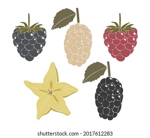Abstract berry fruit set, boho berry elements isolated vector illustration, summer tropical fruits art