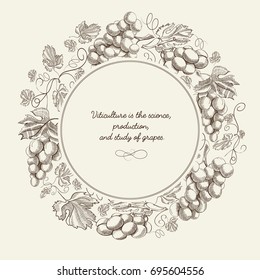 Abstract berry hand drawn poster with round frame bunches of grapes and inscription on light background vector illustration